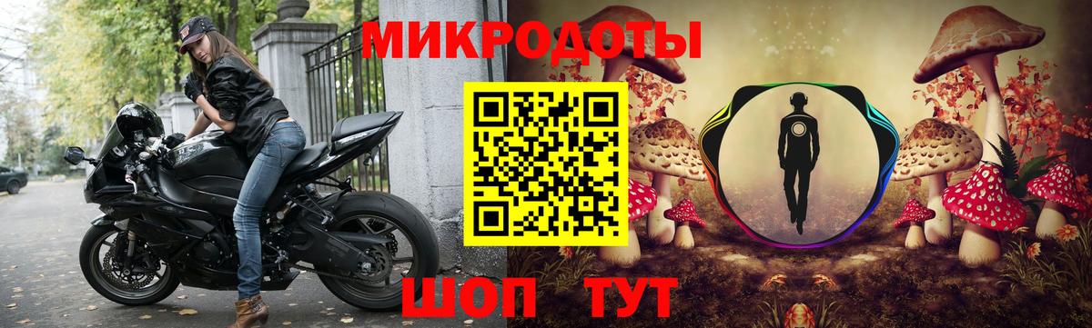 Галлюциногенные грибы Psilocybine cubensis Каменск-Уральский