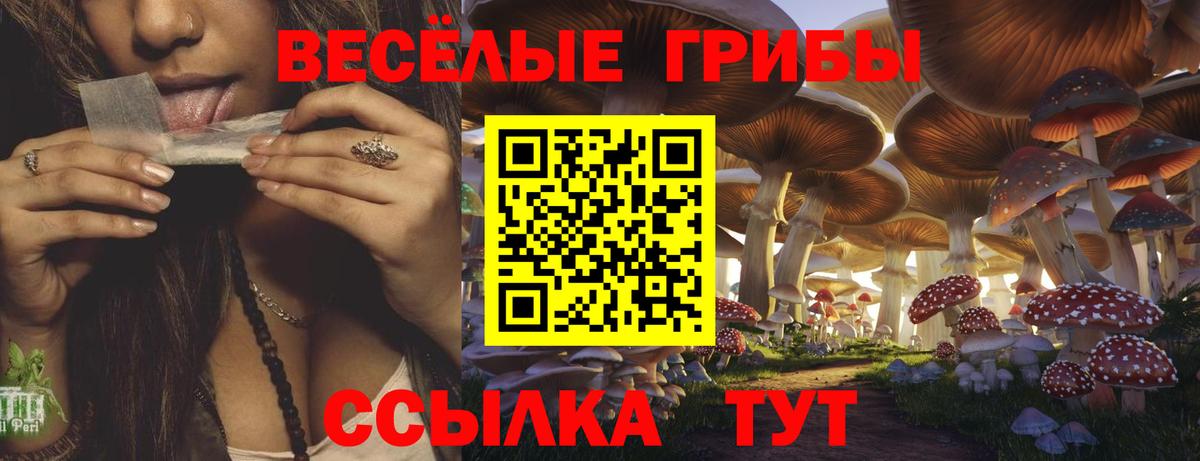 Псилоцибиновые грибы MAGIC MUSHROOMS  Галлюциногенные грибы MAGIC MUSHROOMS  Каменск-Уральский  Вход с VPN 